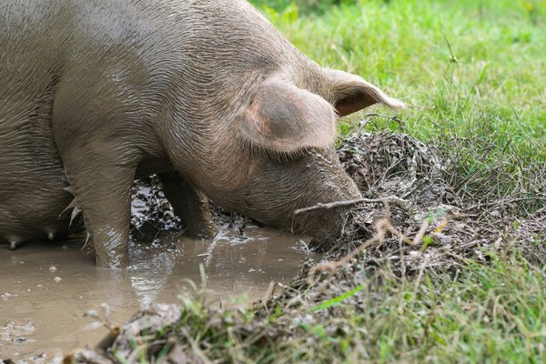 Meilleures pratiques pour réduire les cernes à marseille
